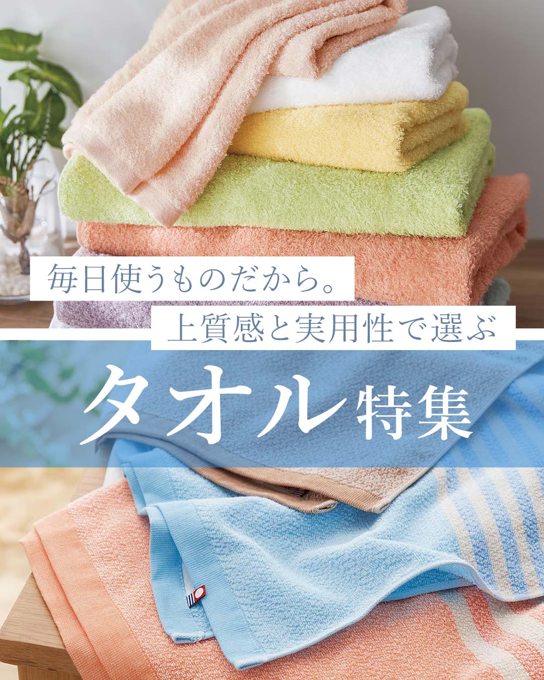 タオル特集